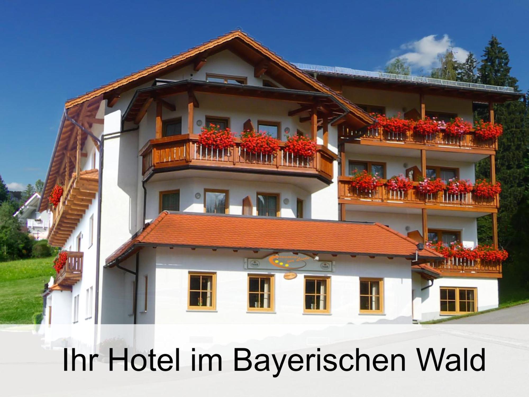 Garnihotel Zur Linde - Bayerischer Wald - Aktivcard Mit 154 Kostenfreien Leistungen - Kostenloser Parkplatz Лоберг Экстерьер фото